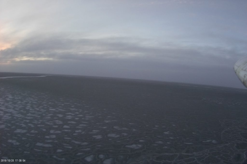 The newly forming sea ice, as seen from 20 meters above during a DataHawk flight.
