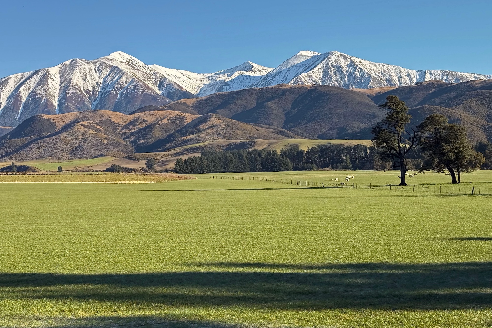 Canterbury Plains and Southern Alps