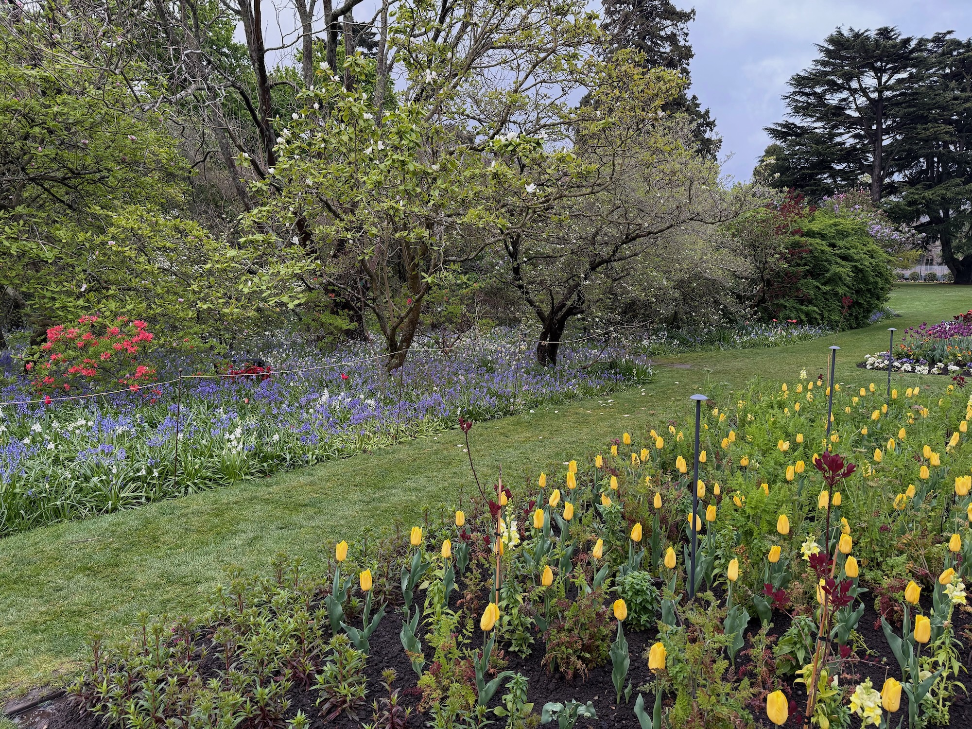 Christchurch botanic garden