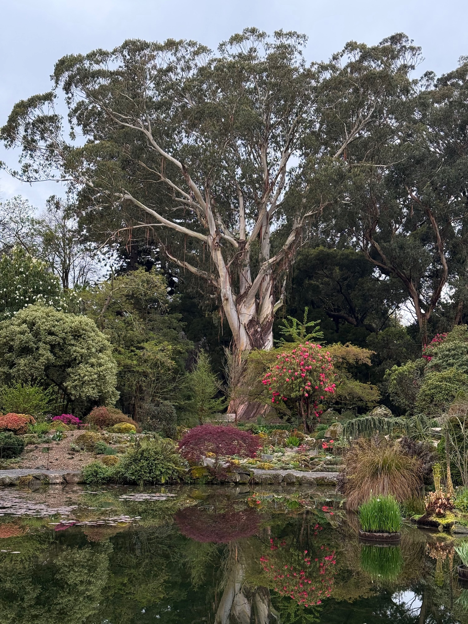 Christchurch botanic garden