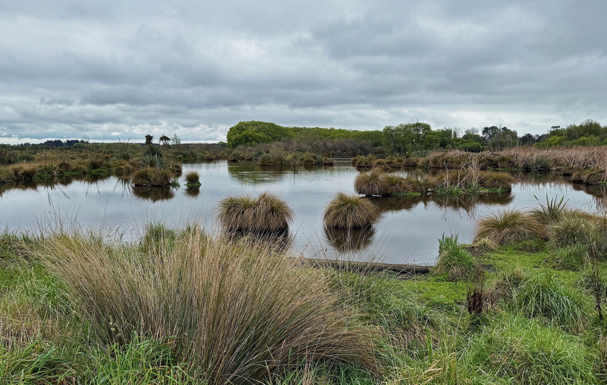 Travis Wetland