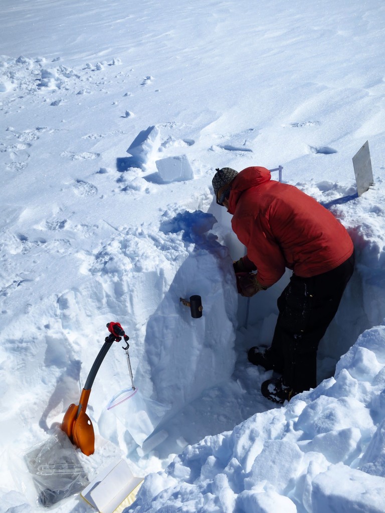 Max measuring snow pit densities at the EastGrIP site. Photo take by Mike MacFerrin, 2015