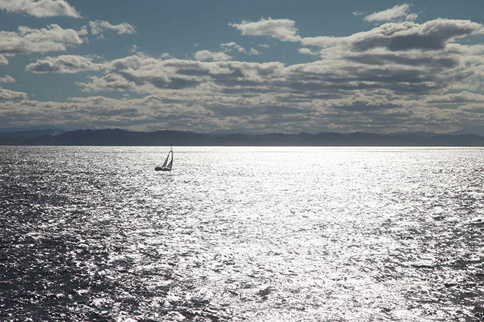 sailboat on the ocean