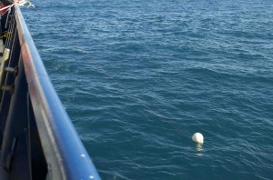 The little white ball is a buoy that is connected to the shallow seafloor style of bottom pressure recorder