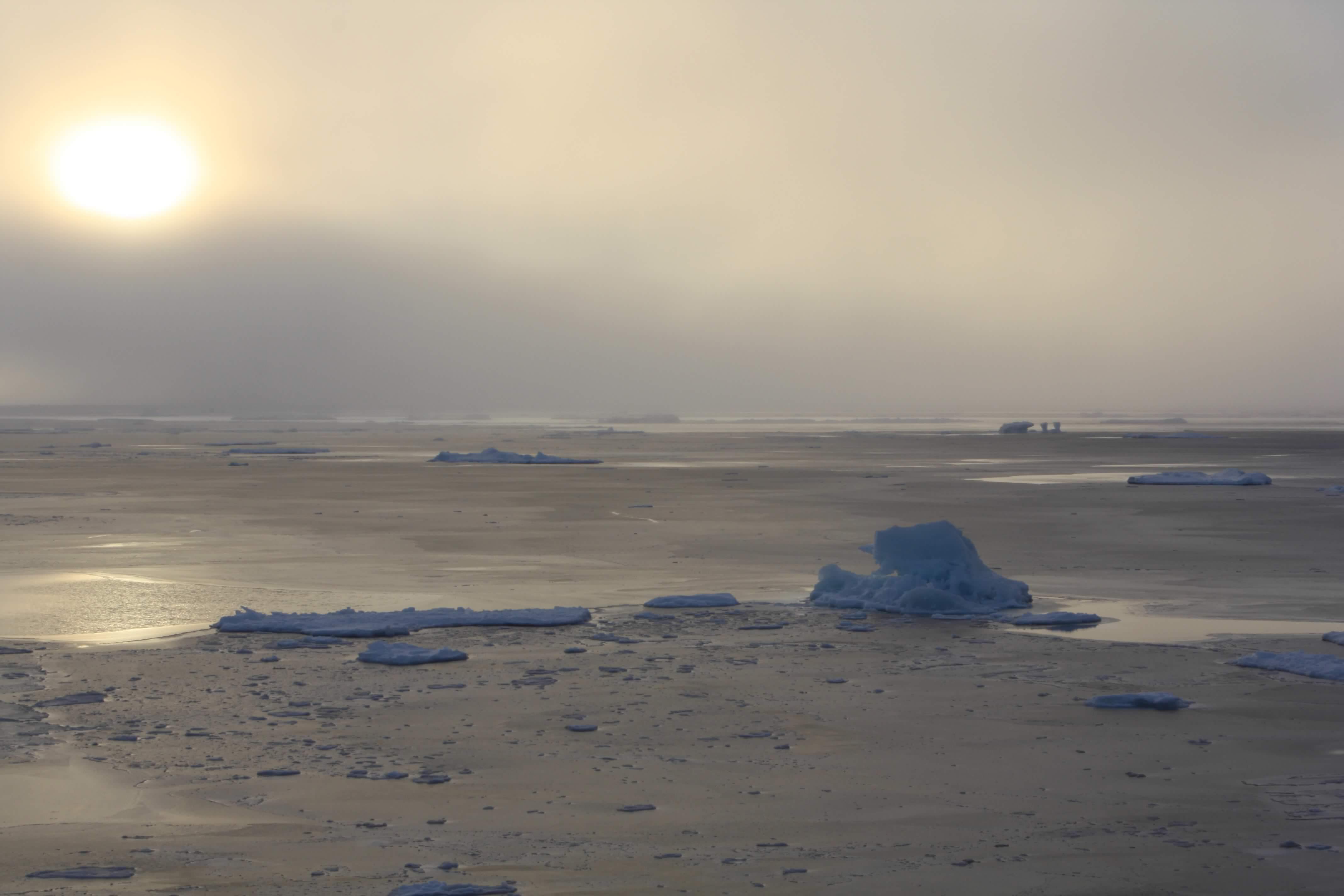 sun fog and sculpted ice