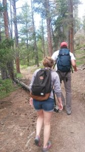 Hiking to Gordon Gulch 2