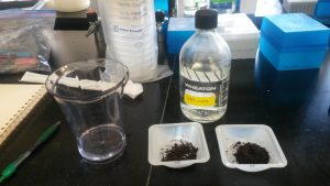 Weighed Out Soil Samples