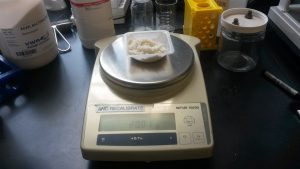 Weighing Clean Agar Powder